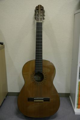 Fuji Guiter