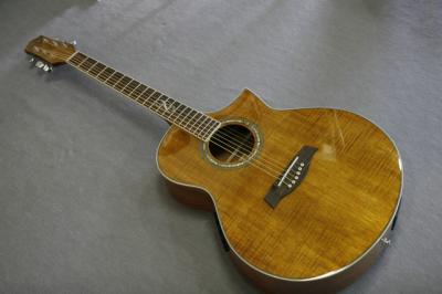 Ibanez EW20KOE