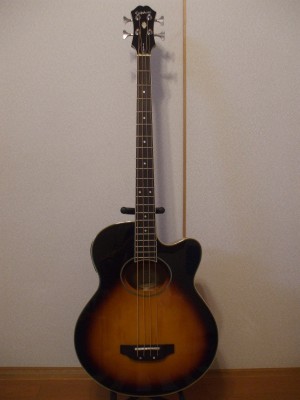 Epiphone El Capitan