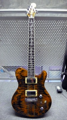 Kraken Custom Guitars 1