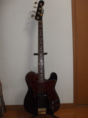 FERNANDES TEB-70