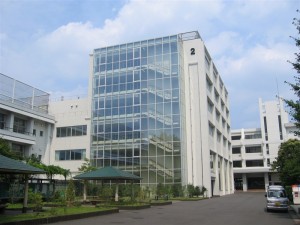 メインストリート