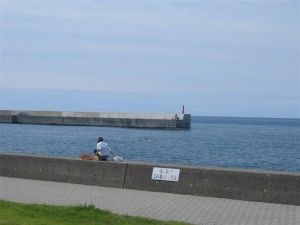 能生の海岸は、皆カニ道楽