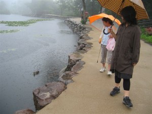 人なつっこい奴