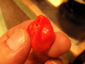 プチトマト？？？