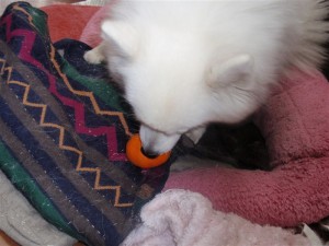 むいてくれよぉ！