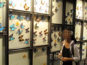 地球博物館 地球博物館