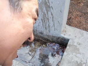 20110116 (4)_R 20110116 (4)_R