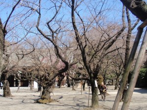 20110327(1) 20110327(1)