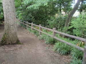 玉川上水 玉川上水