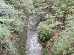 橋の上から 橋の上から